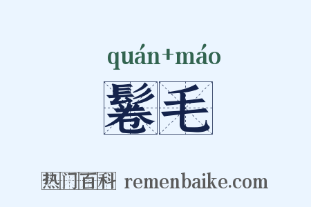 鬈毛是什么意思的图片